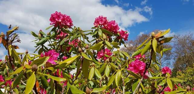 Отели типа «постель и завтрак» Mountain View Bed & Breakfast, Kenmare, Co. Kerry, Ireland Кенмэр-32