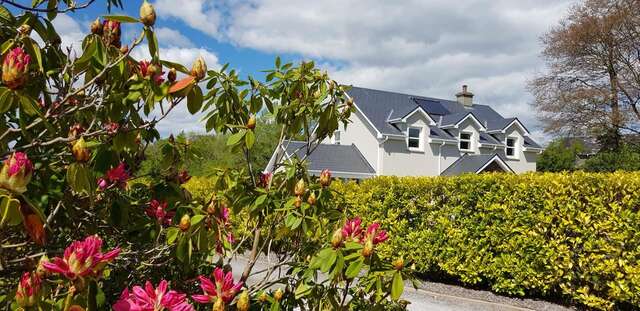 Отели типа «постель и завтрак» Mountain View Bed & Breakfast, Kenmare, Co. Kerry, Ireland Кенмэр-38